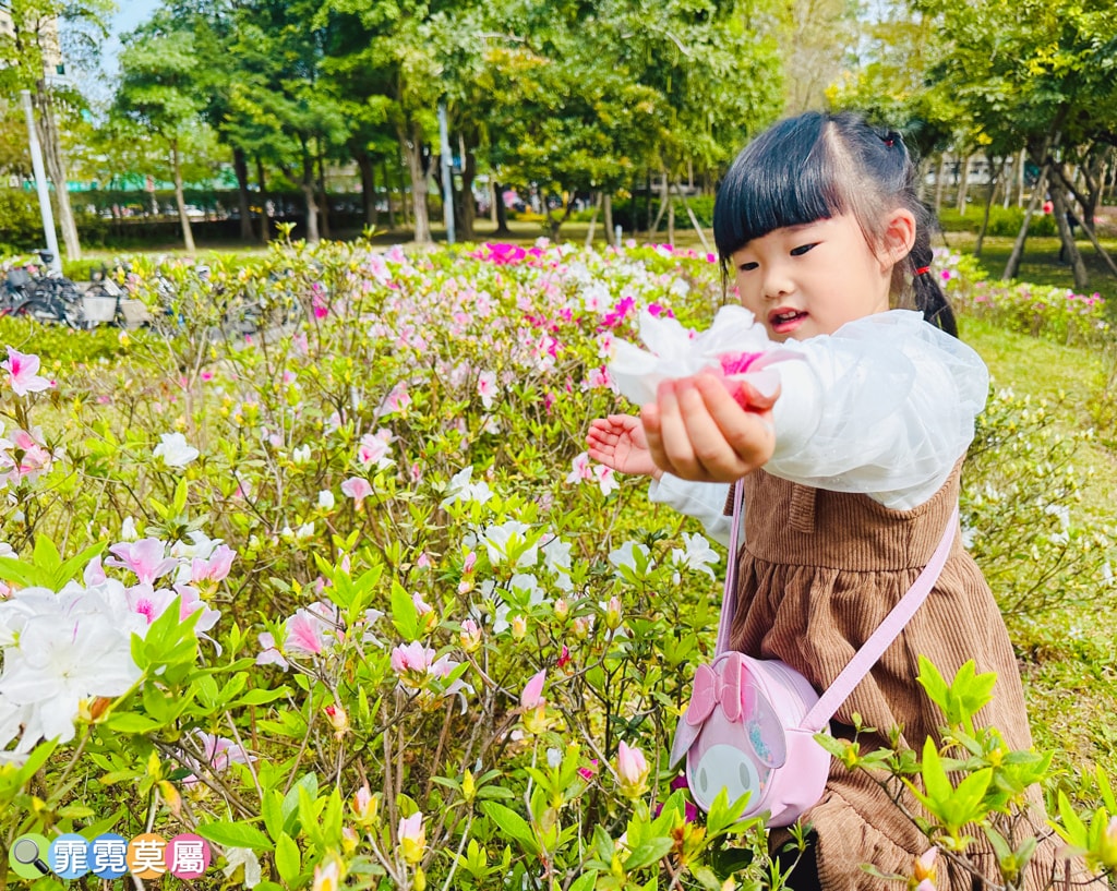 20251031-kkb0p 20251031-kkb0p