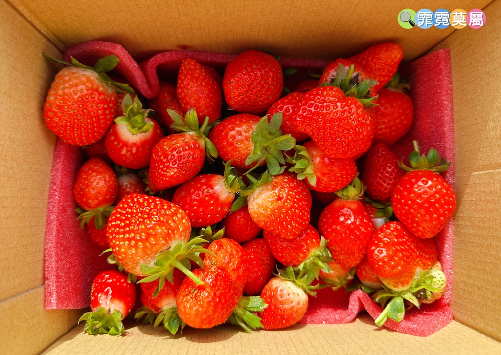 20251031-ko749 20251031-ko749