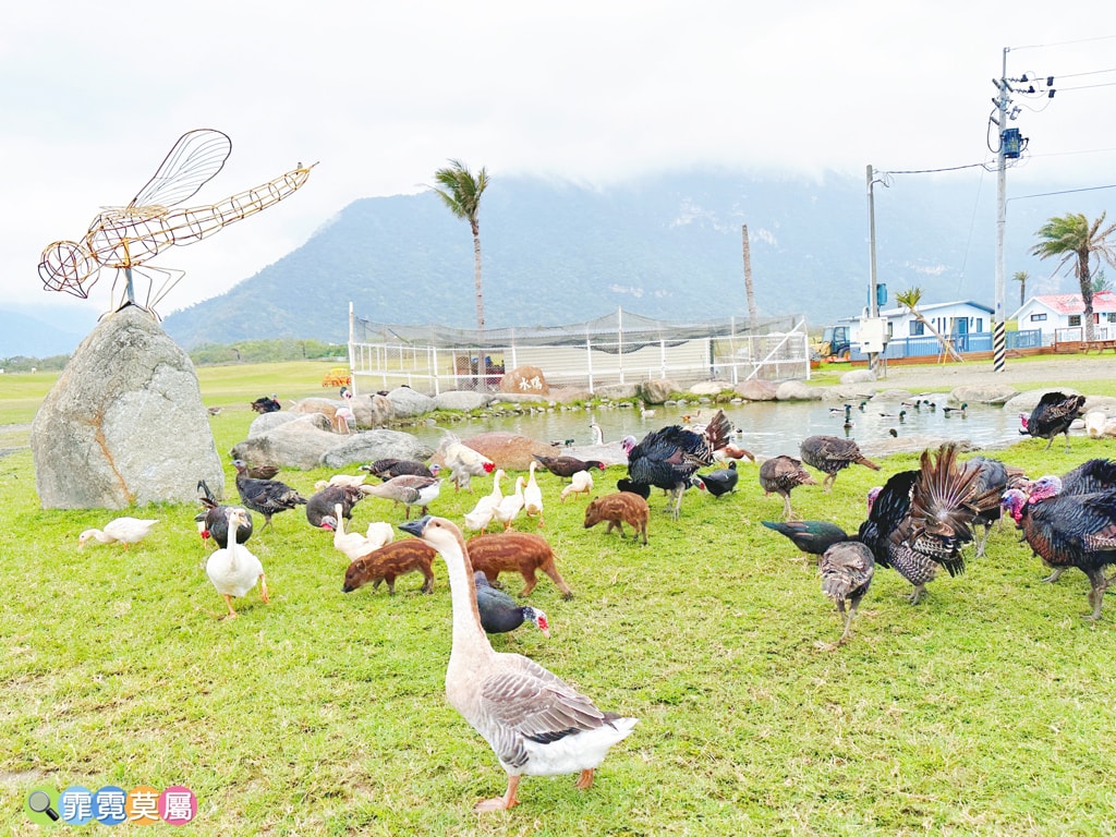 20251031-ebxwe 20251031-ebxwe