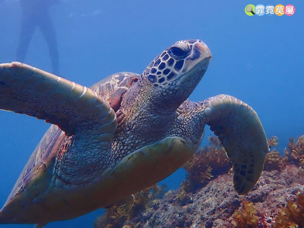 20251031-2meba 20251031-2meba