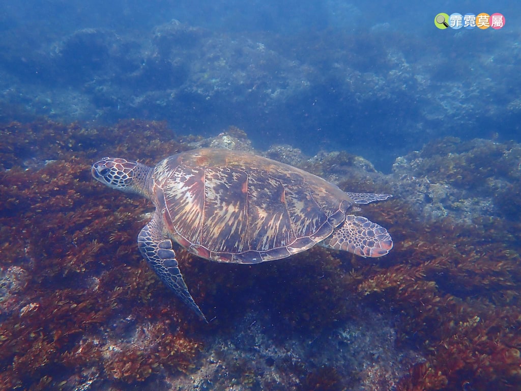 20251031-j16n9 20251031-j16n9