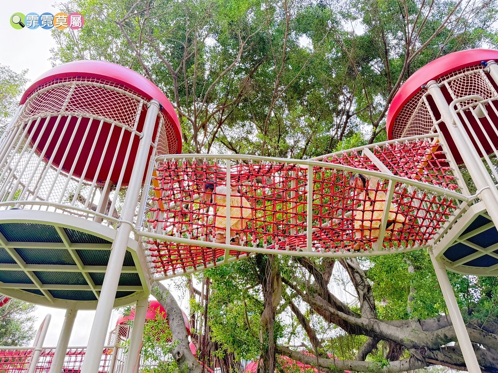 20251031-t9a38 20251031-t9a38