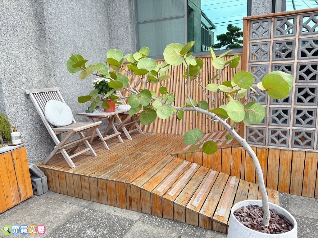 20251031-nzoam 20251031-nzoam