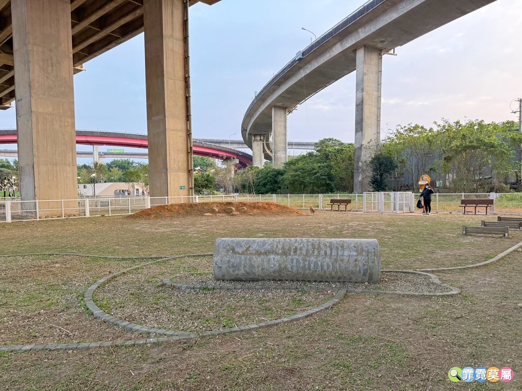 20251031-ppj10 20251031-ppj10