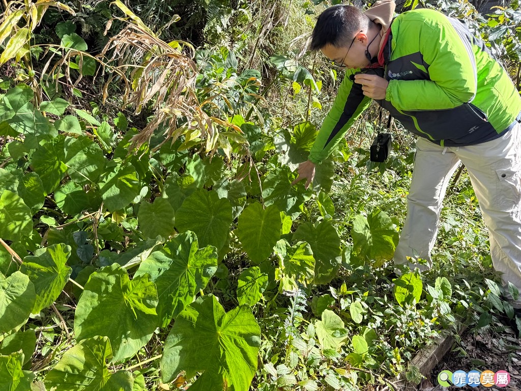 20251031-tr2tr 20251031-tr2tr