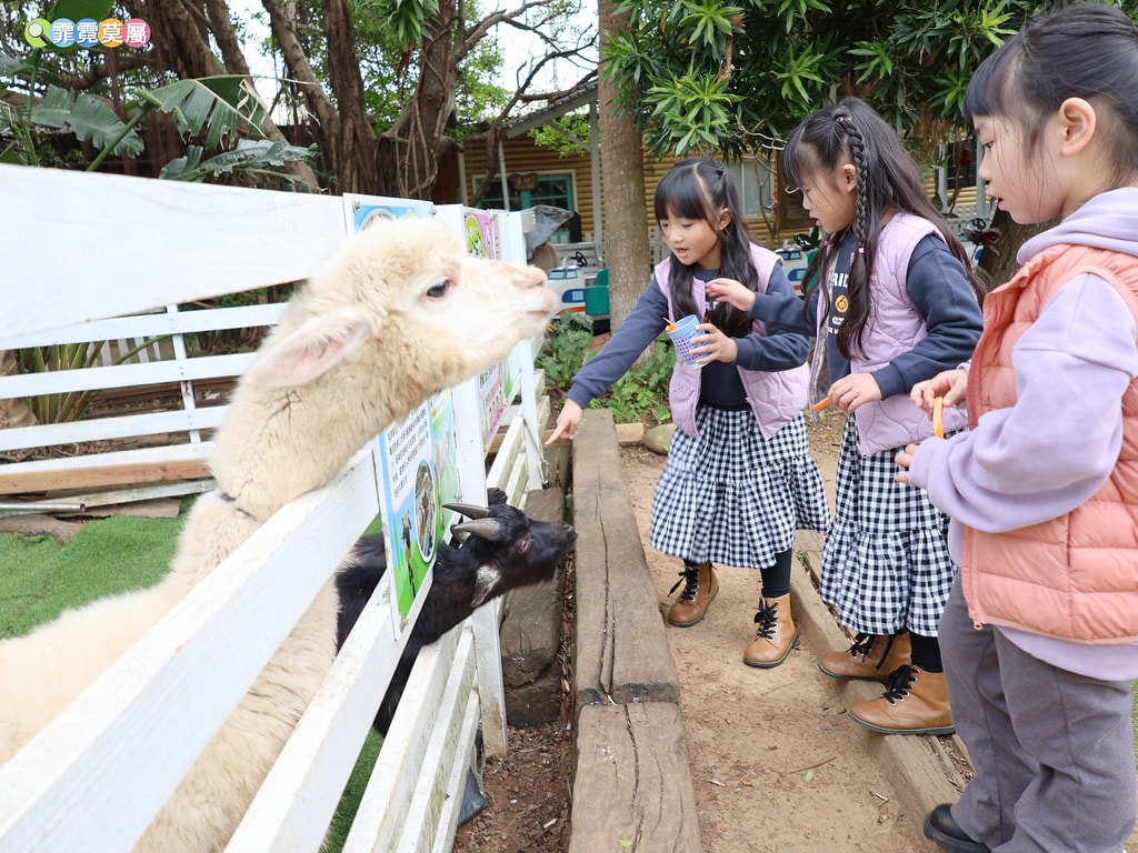 20251031-52383 20251031-52383