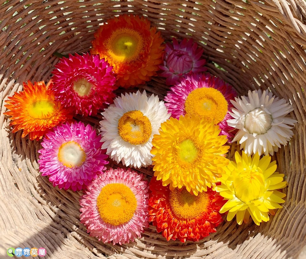 20251031-euib0 20251031-euib0