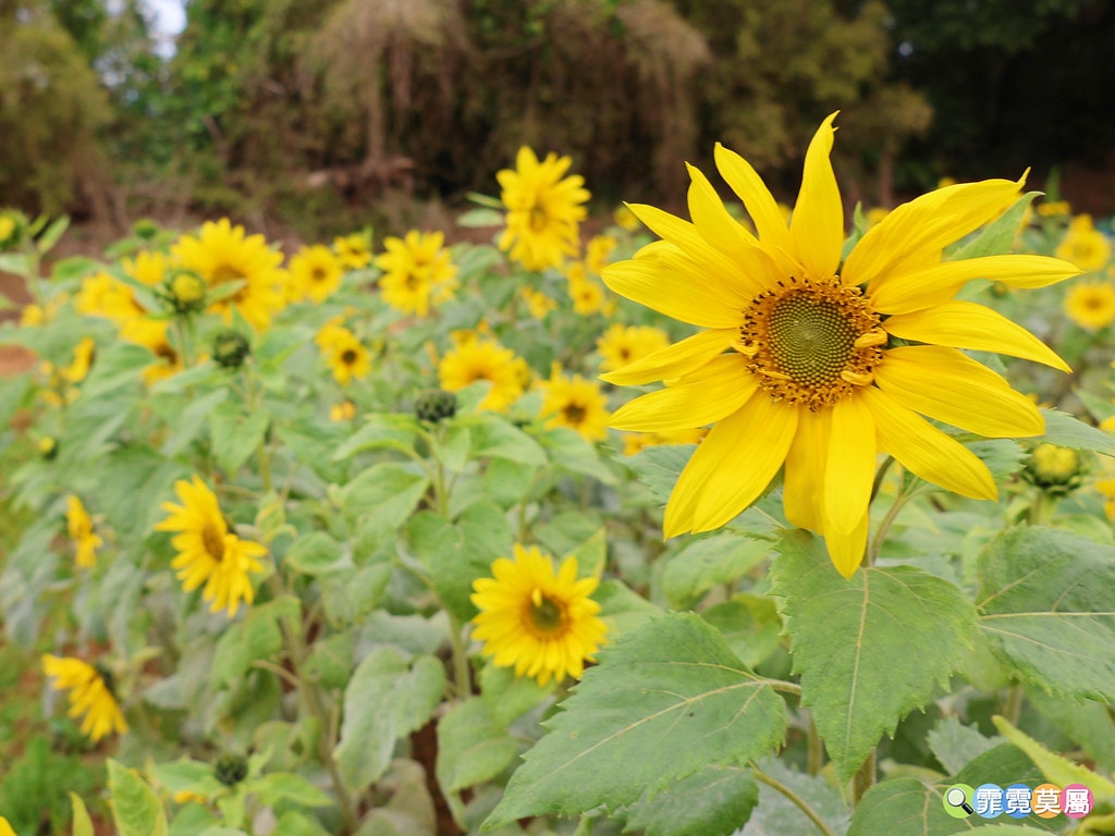 20251031-f2563 20251031-f2563