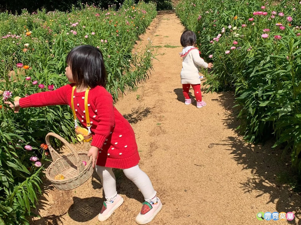 20251031-h1tqy 20251031-h1tqy