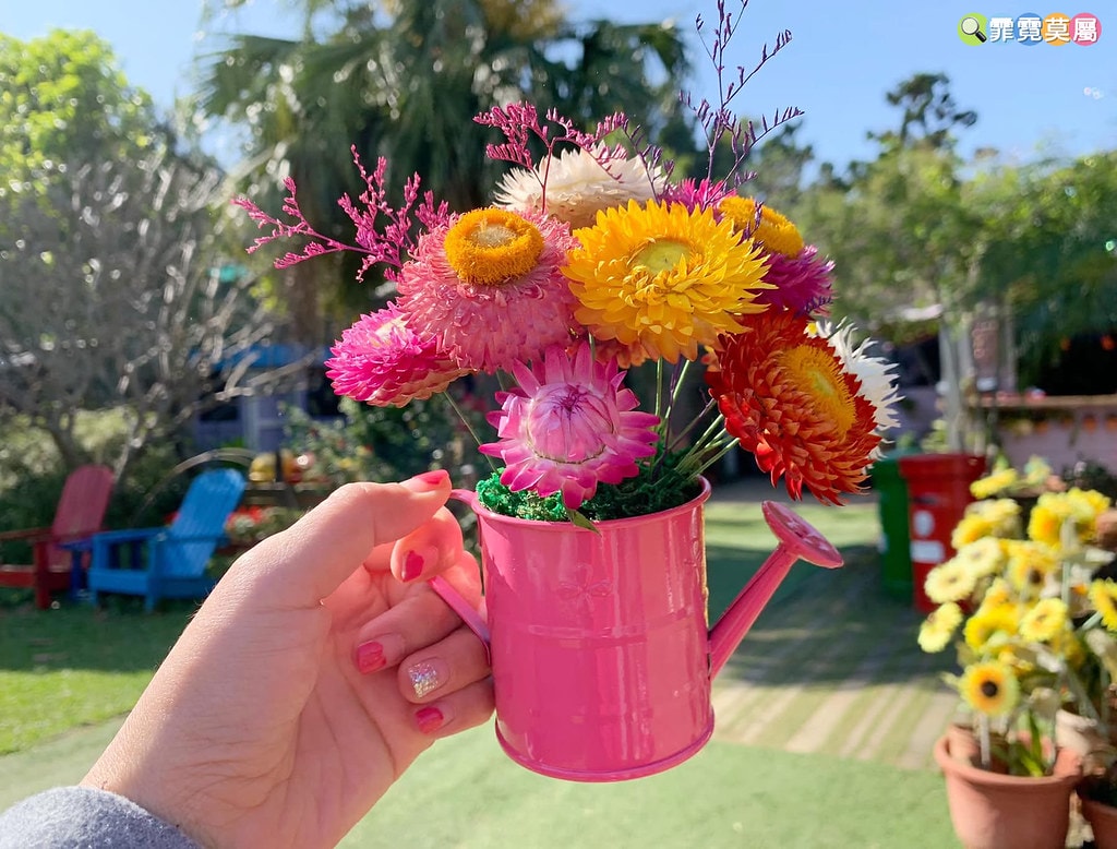 20251031-lsn1t 20251031-lsn1t