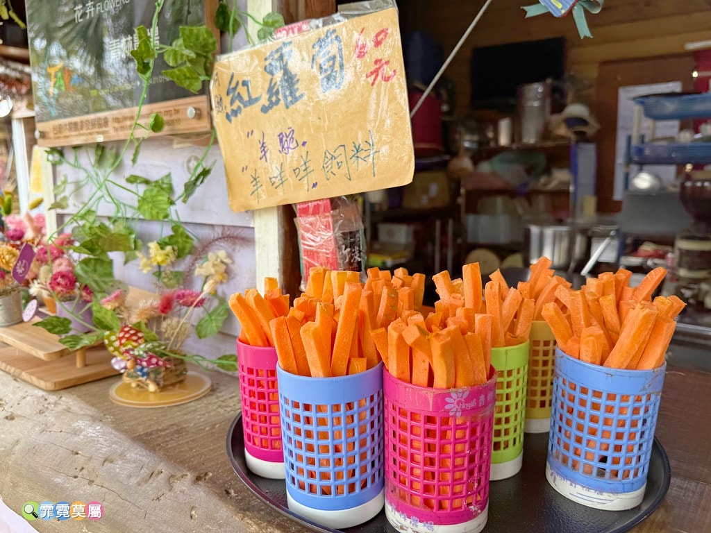 20251031-payol 20251031-payol