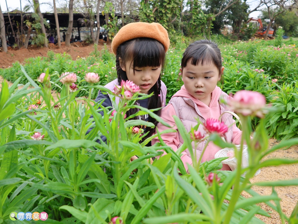 20251031-ujhkx 20251031-ujhkx