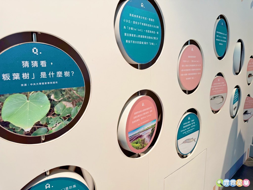 20251031-vd0en 20251031-vd0en