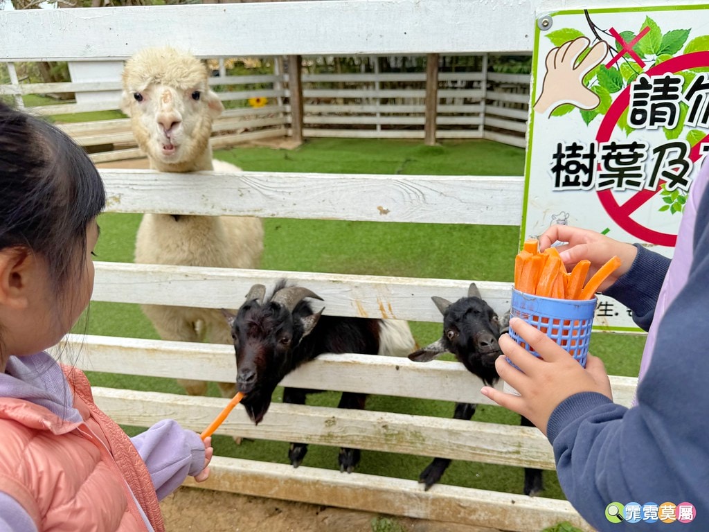 20251031-y1p00 20251031-y1p00