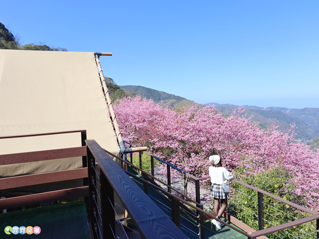 20251031-19lma 20251031-19lma