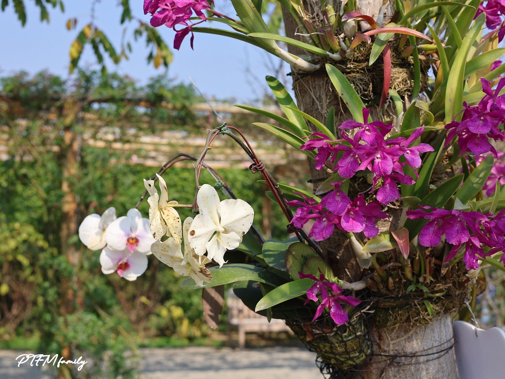 20251031-67rth 20251031-67rth