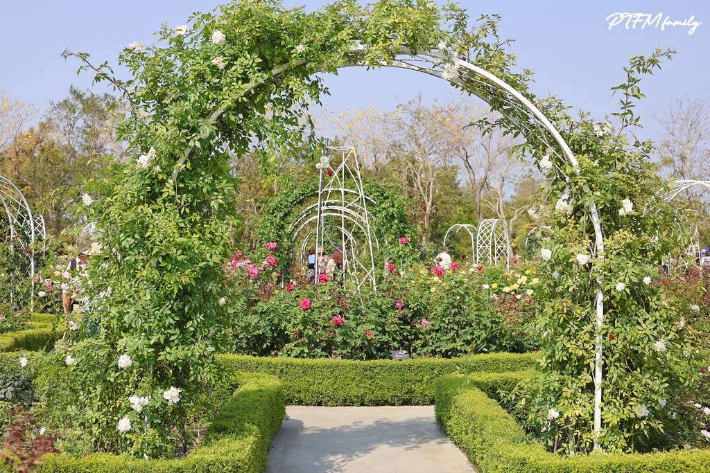 20251031-9gt8o 20251031-9gt8o