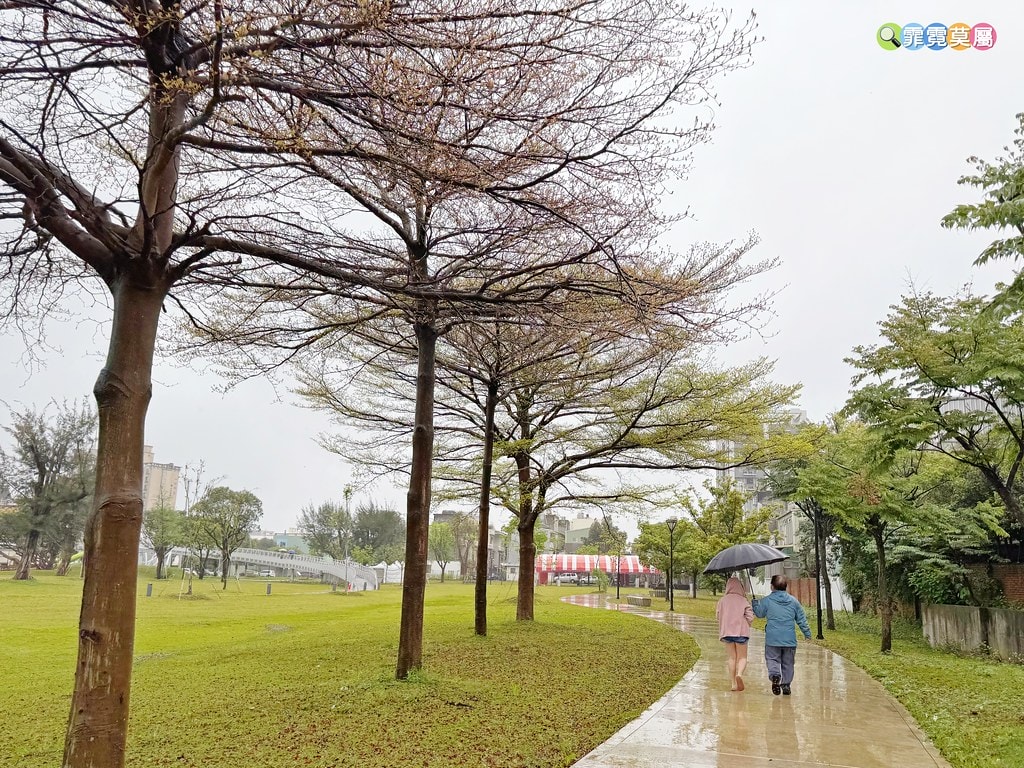 20251031-9ye35 20251031-9ye35