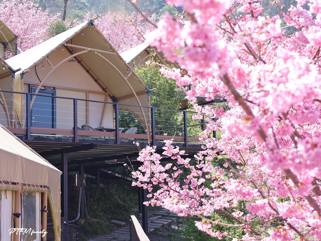 20251031-cjebc 20251031-cjebc