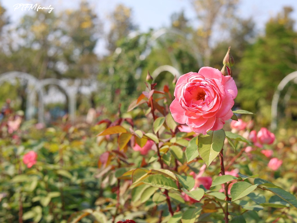 20251031-d3w8z 20251031-d3w8z