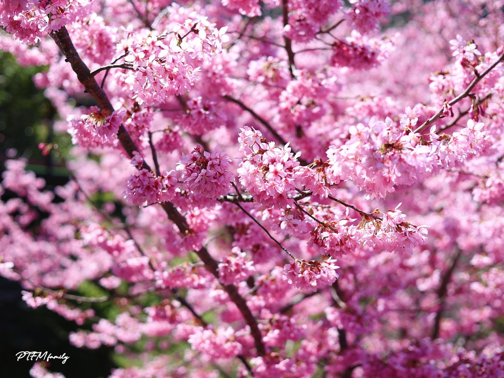 20251031-dn10f 20251031-dn10f