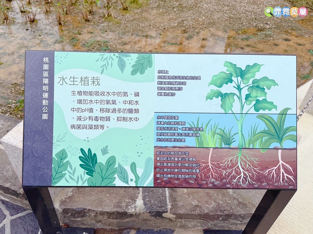 20251031-ip9xn 20251031-ip9xn