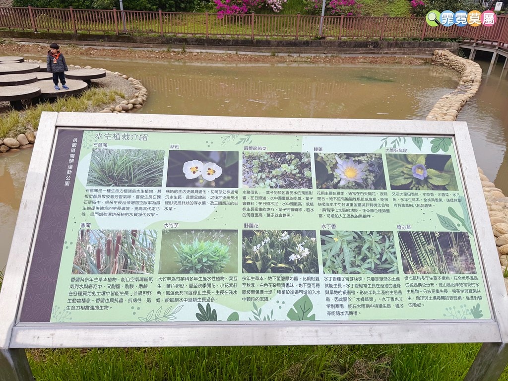 20251031-puv31 20251031-puv31