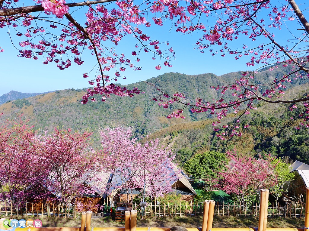 20251031-r9i4g 20251031-r9i4g