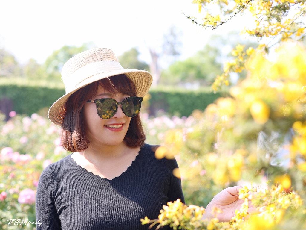 20251031-t5jg8 20251031-t5jg8