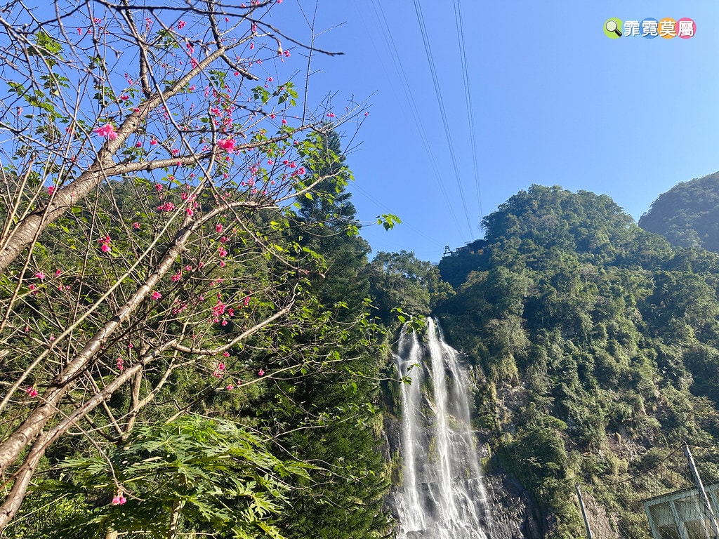 20251031-2p46e 20251031-2p46e