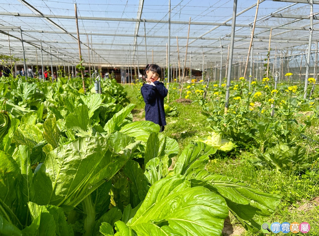 20251031-4ixwq 20251031-4ixwq