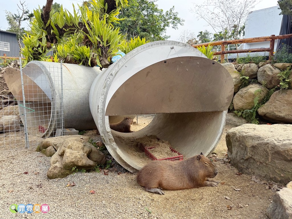 20251031-4wjsn 20251031-4wjsn