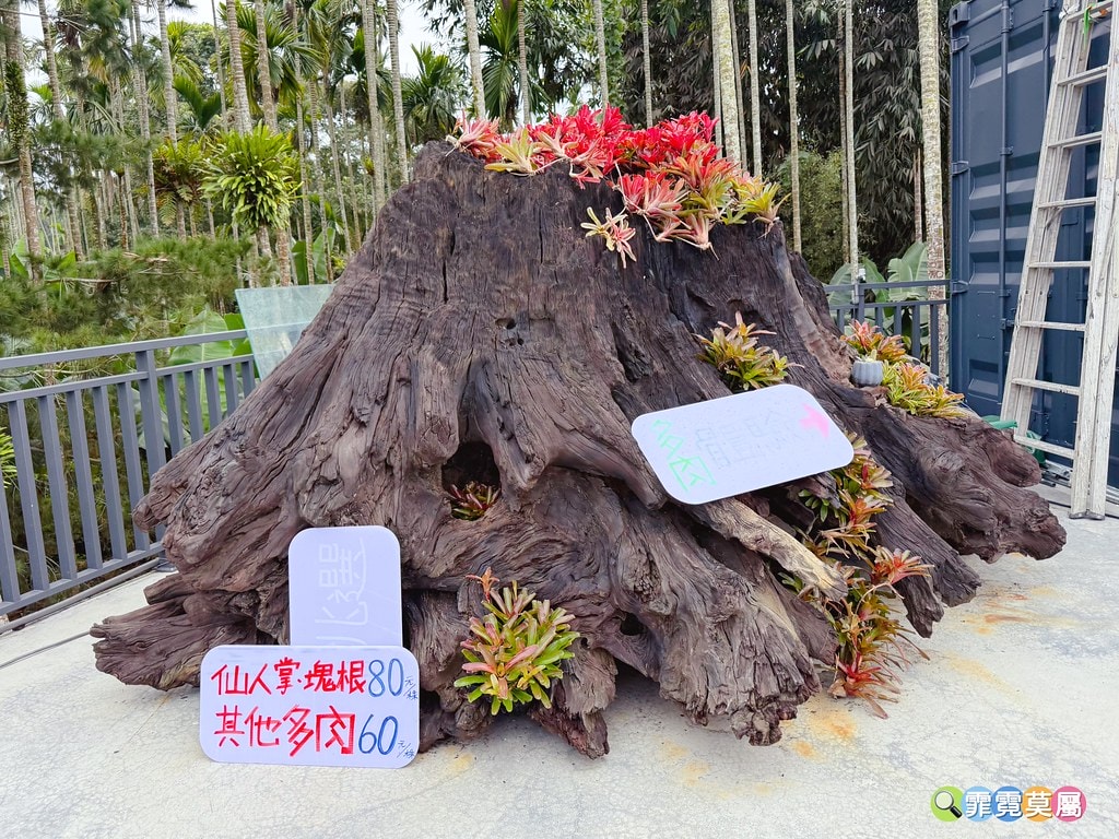 20251031-70kv4 20251031-70kv4