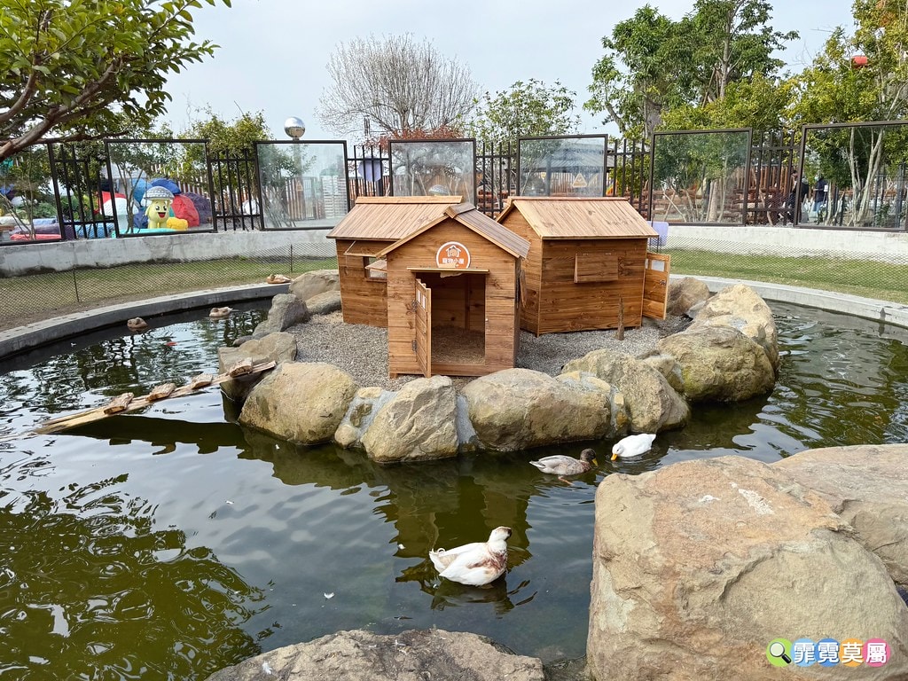 20251031-9ru5x 20251031-9ru5x