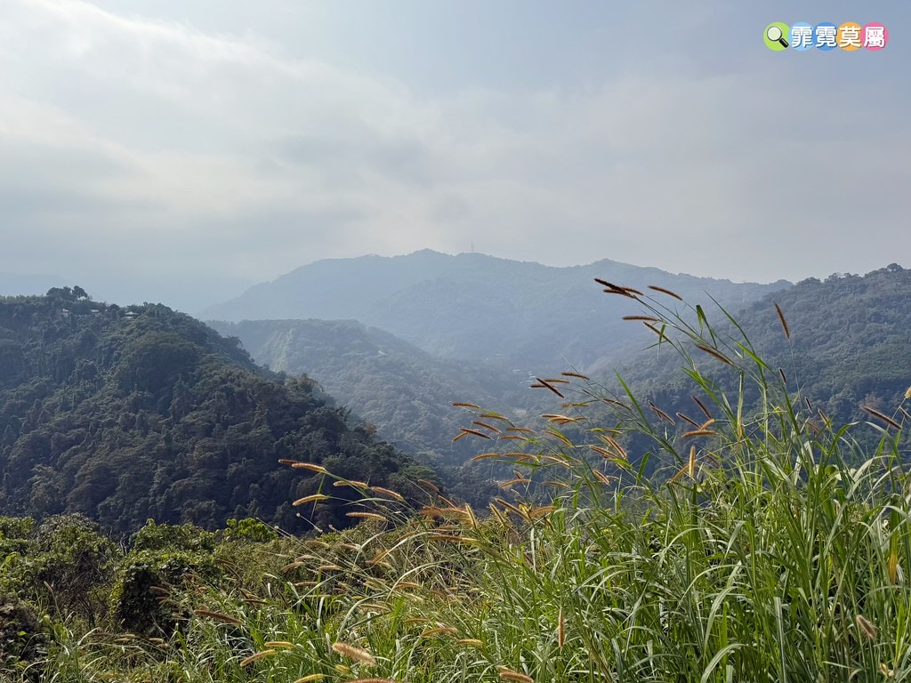 20251031-cujts 20251031-cujts