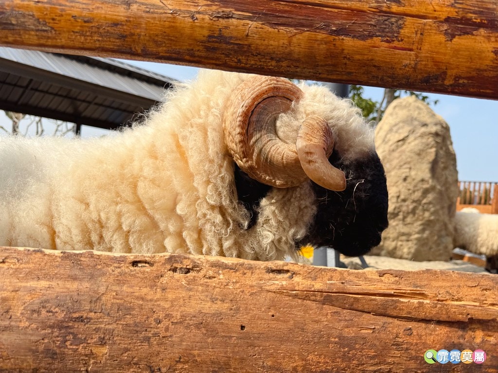 20251031-gzf8b 20251031-gzf8b