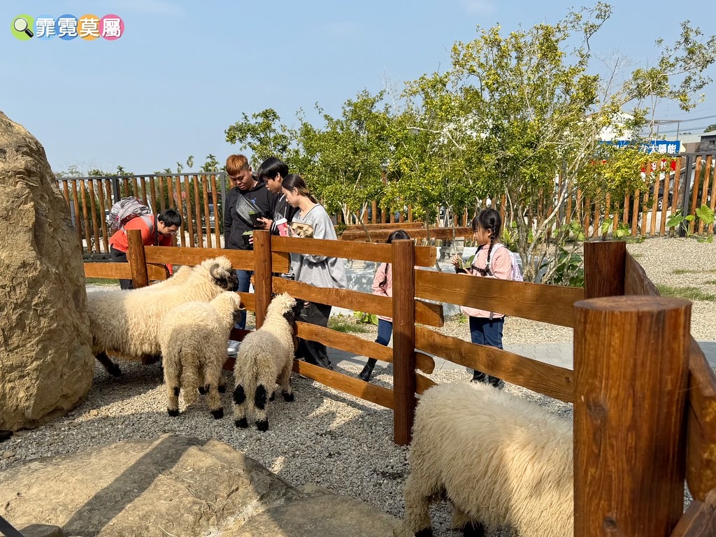 20251031-hp0r5 20251031-hp0r5