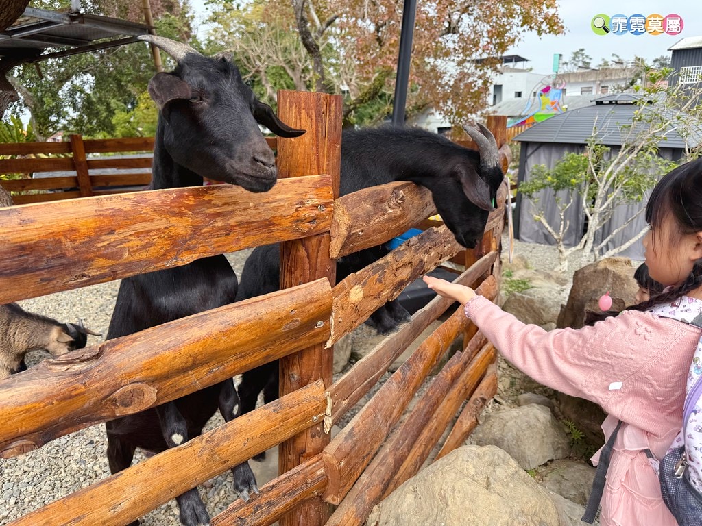 20251031-jz0k0 20251031-jz0k0