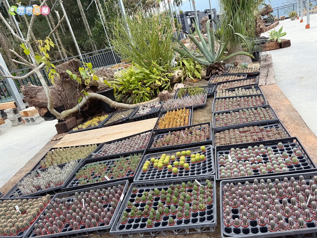 20251031-mlgt2 20251031-mlgt2