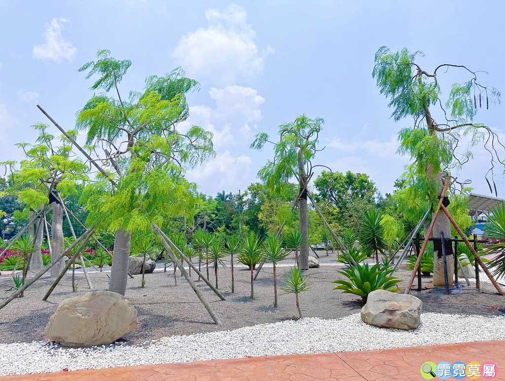 20251031-n6fj0 20251031-n6fj0