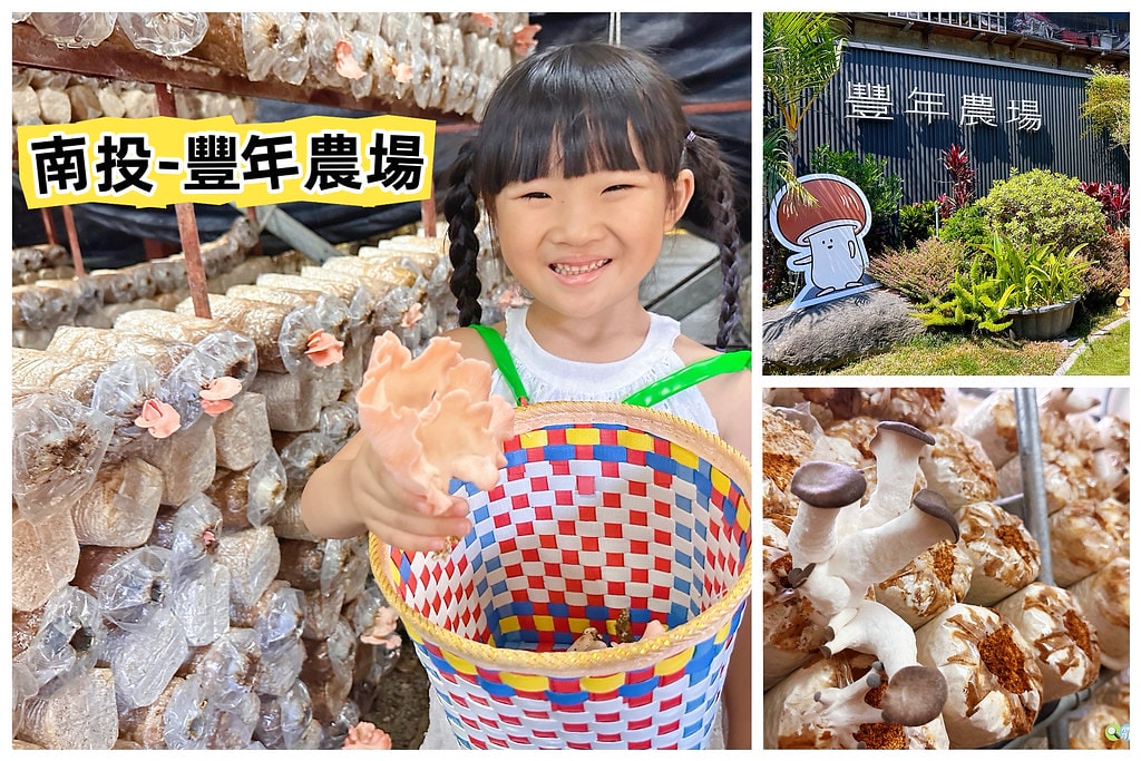 20251031-plnhv 20251031-plnhv