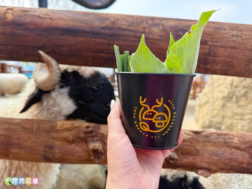 20251031-qgrur 20251031-qgrur