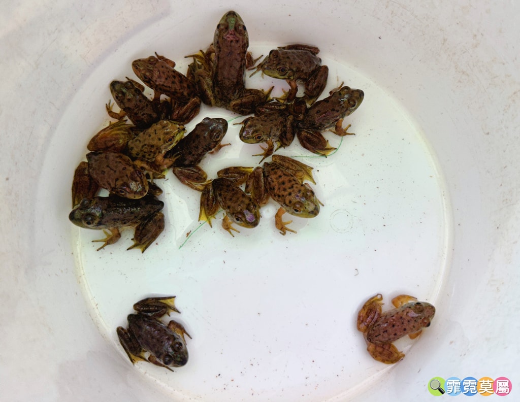 20251031-qn5pq 20251031-qn5pq