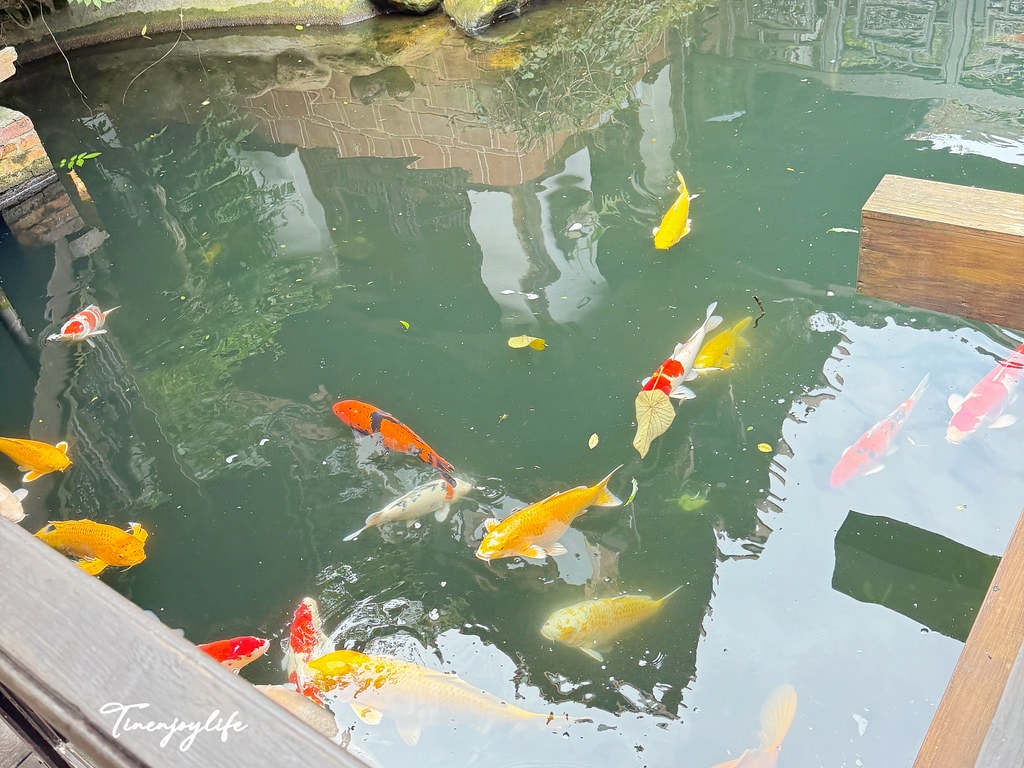 20251031-qn8lb 20251031-qn8lb