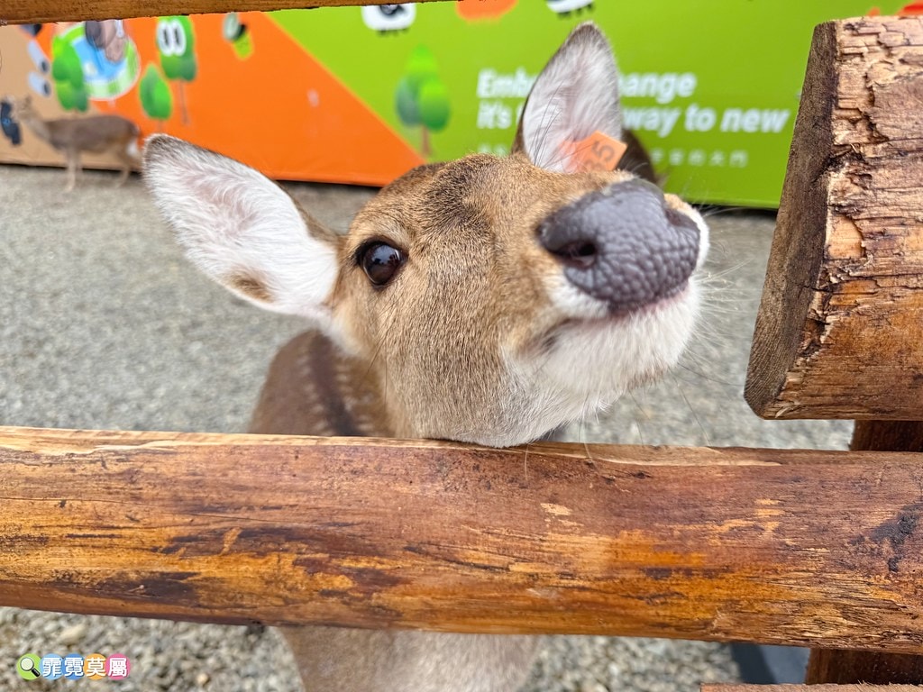 20251031-rgpi8 20251031-rgpi8