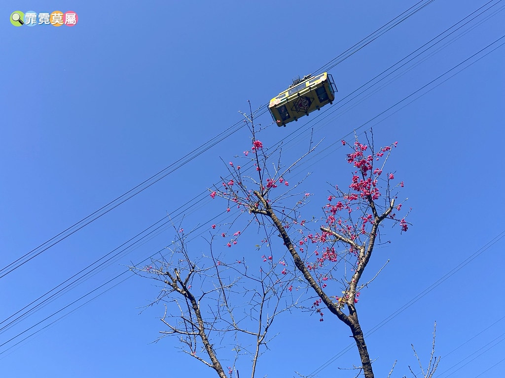 20251031-ujvqn 20251031-ujvqn