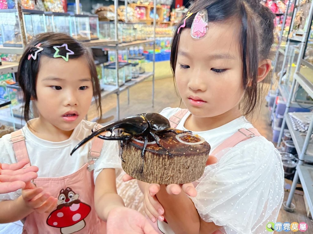 20251031-wqhjp 20251031-wqhjp