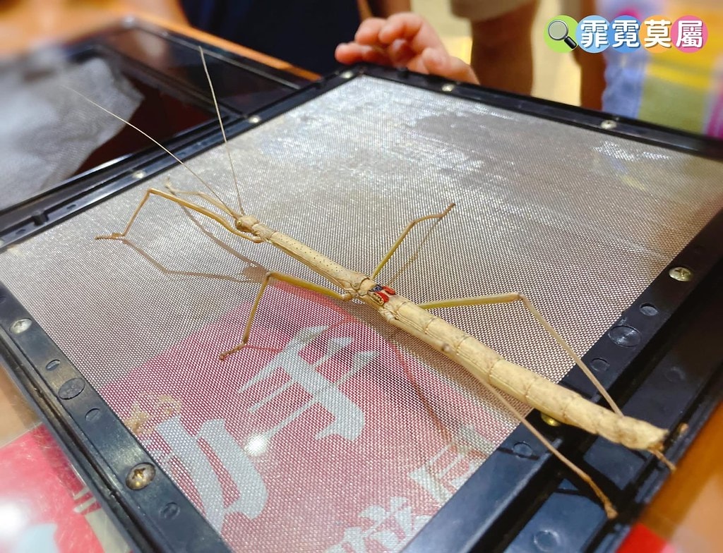 20251031-3rzqa 20251031-3rzqa