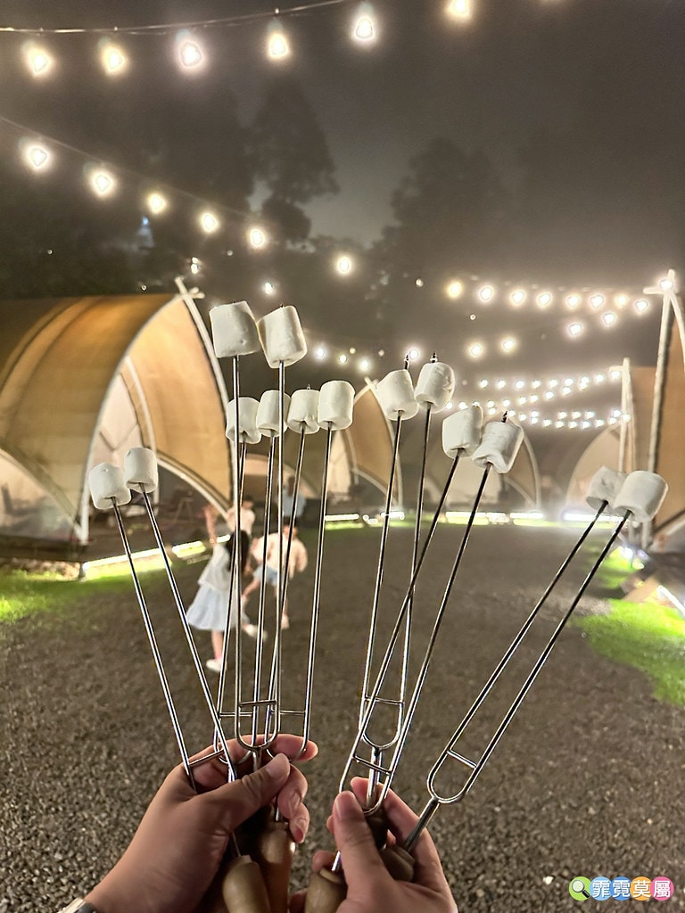 20251031-3va9j 20251031-3va9j