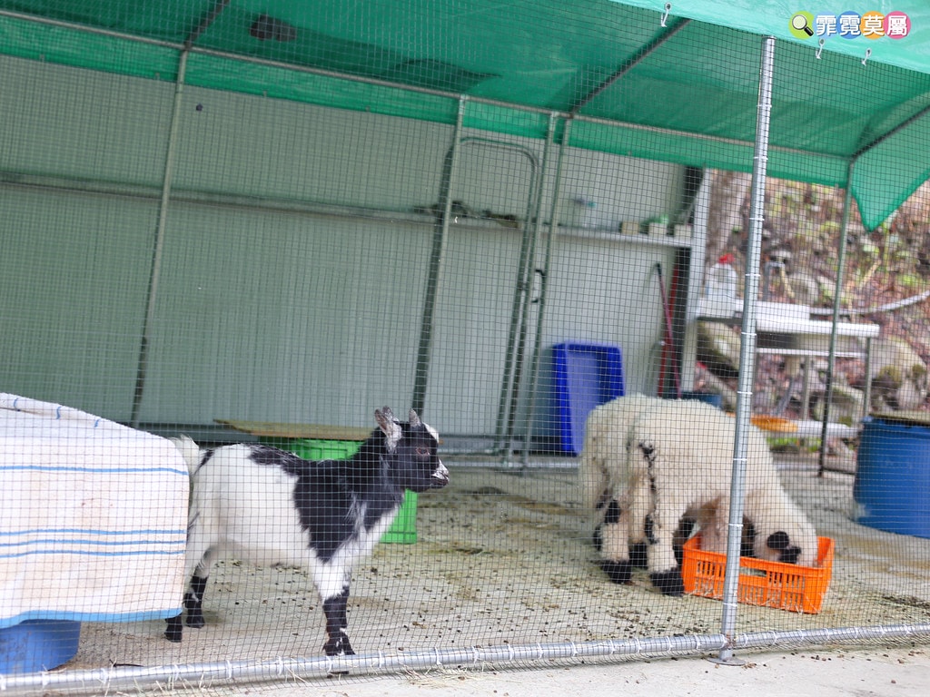 20251031-bgbx0 20251031-bgbx0